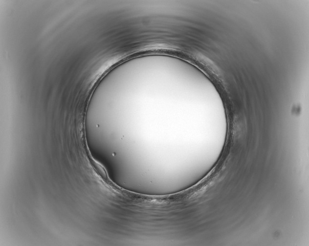 X0000093571321200710291032