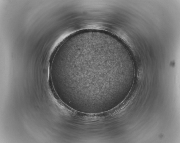X0000093571323200710291032