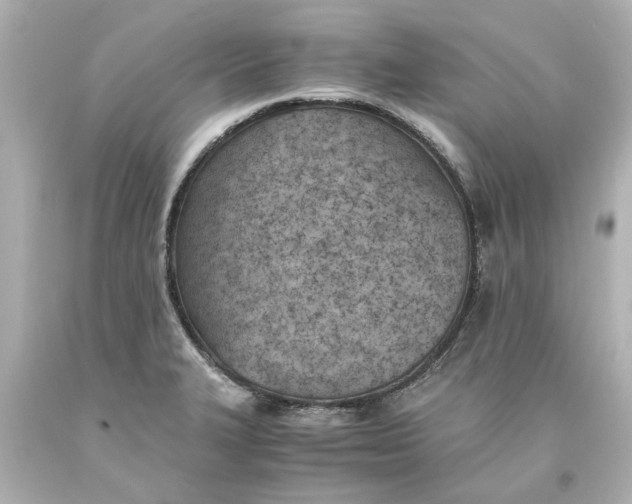 X0000093571327200710291032