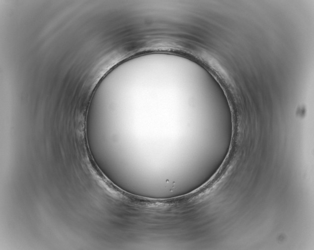 X0000093571329200710291032