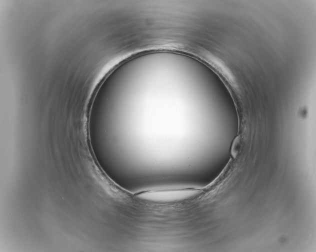 X0000093571332200710291032