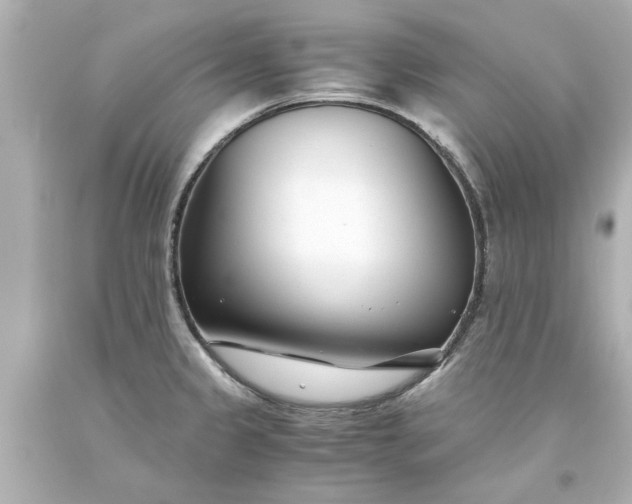 X0000093571333200710291032