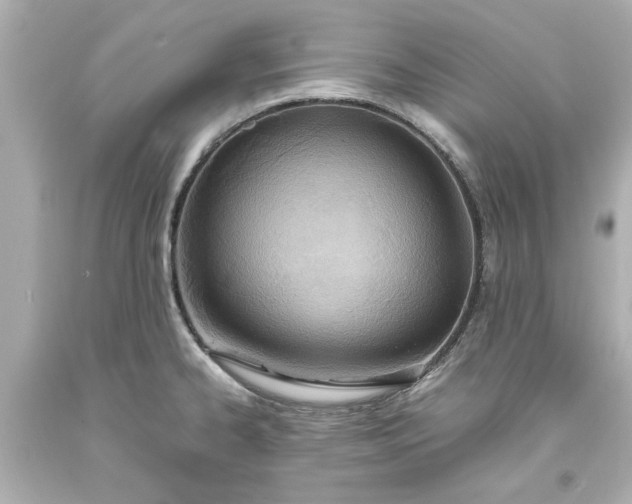 X0000093571334200710291032
