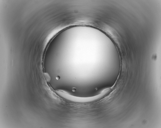 X0000093571336200710291032