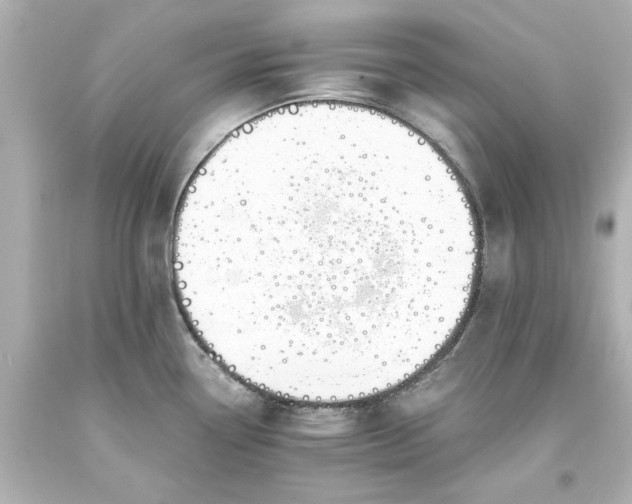 X0000093571338200710291032