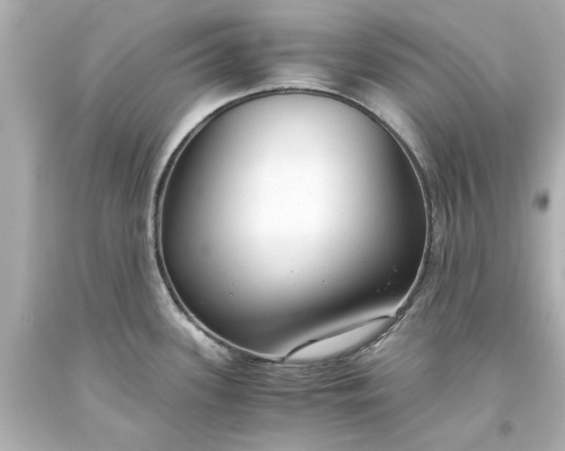 X0000093571339200710291032