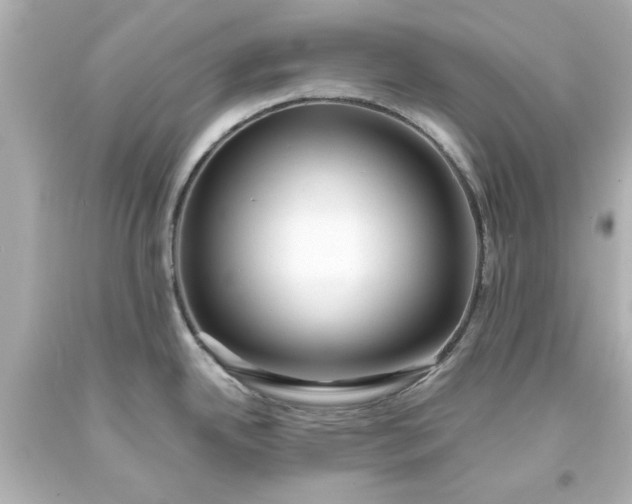 X0000093571342200710291032