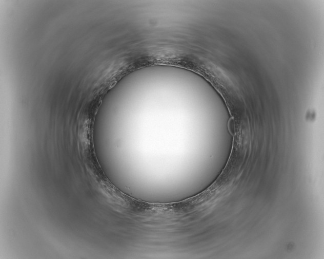 X0000093571346200710291031