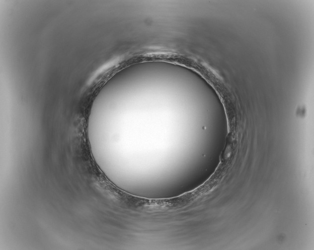 X0000093571351200710291031