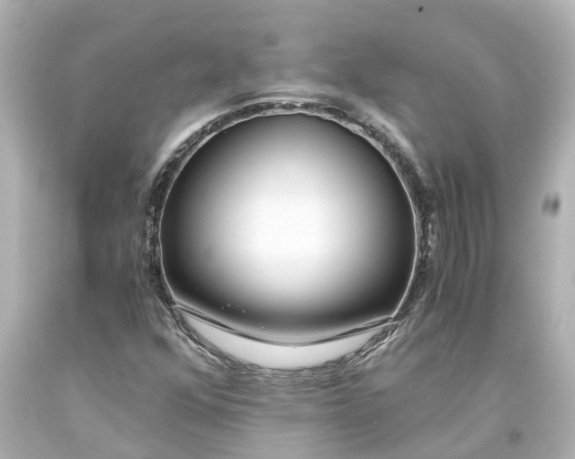 X0000093571352200710291031
