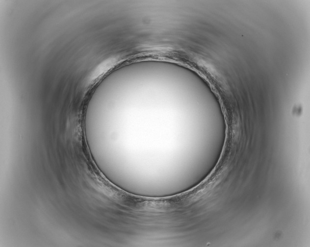 X0000093571354200710291031