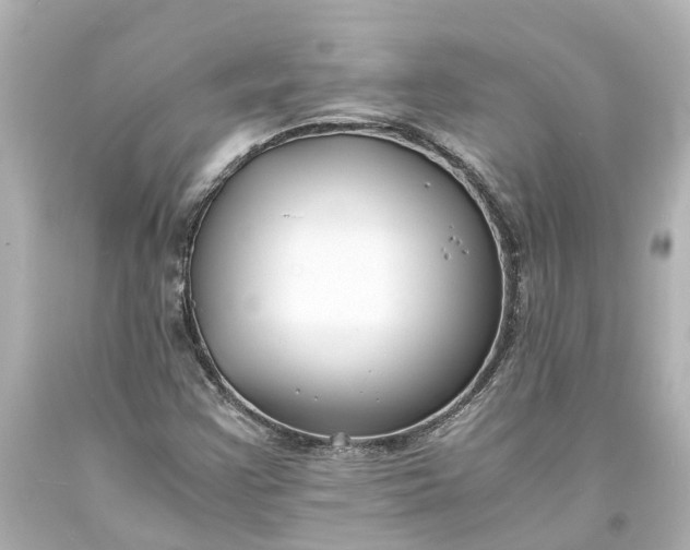 X0000093571355200710291031