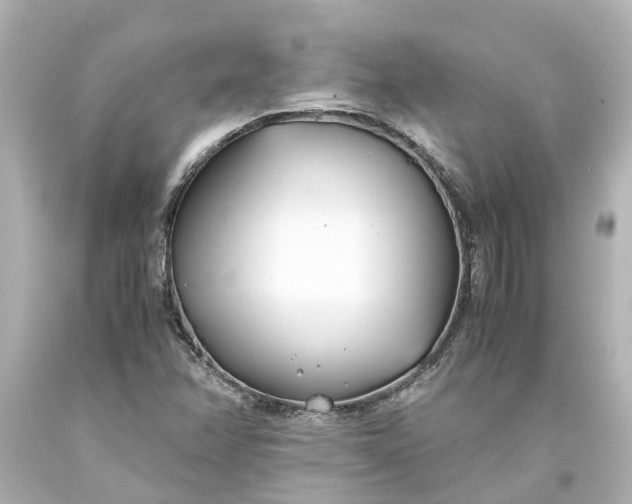 X0000093571358200710291031