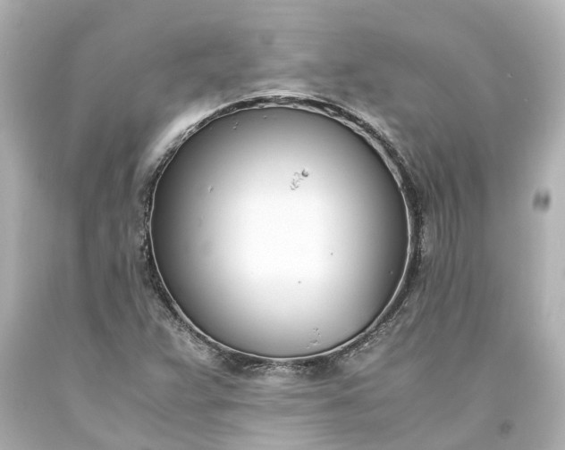 X0000093571359200710291031