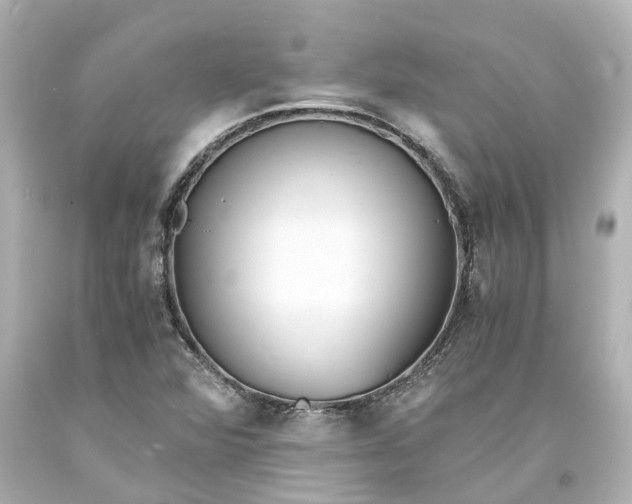 X0000093571360200710291031