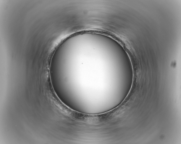 X0000093571363200710291031