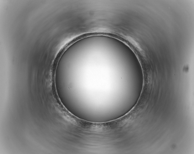 X0000093571364200710291031
