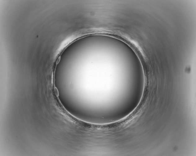 X0000093571365200710291031