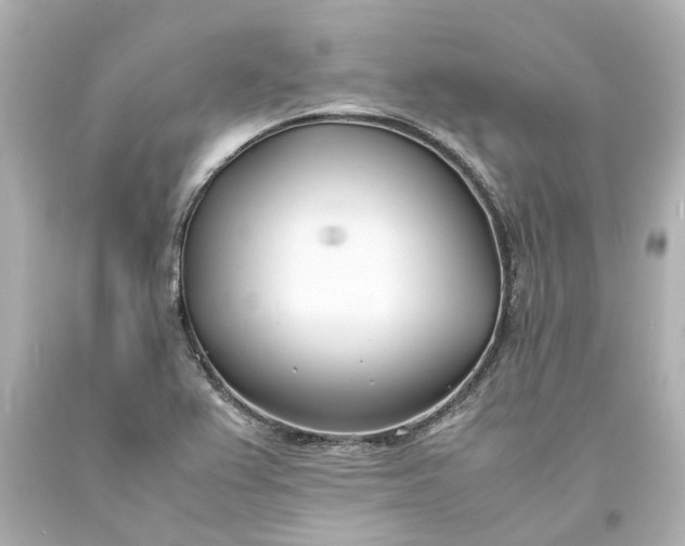 X0000093571367200710291031
