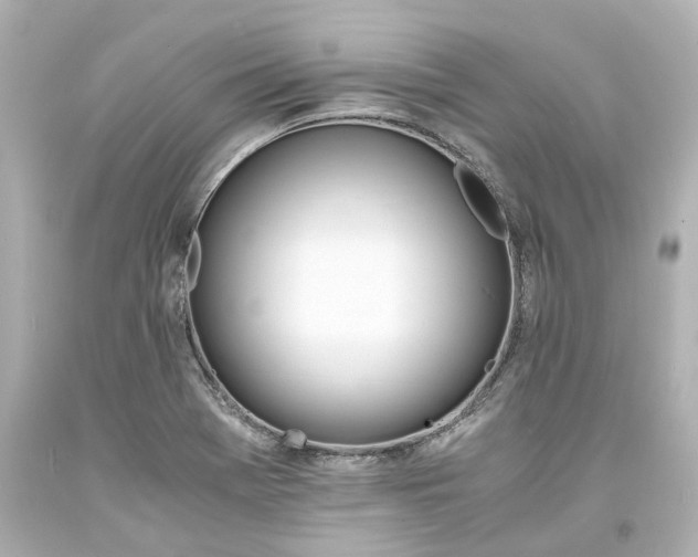 X0000093571369200710291031