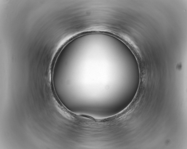 X0000093571372200710291031