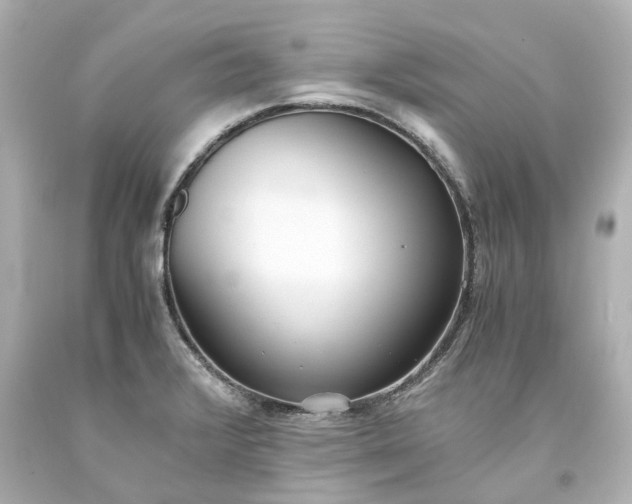 X0000093571376200710291031