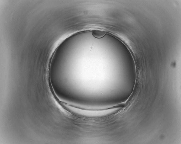 X0000093571379200710291031