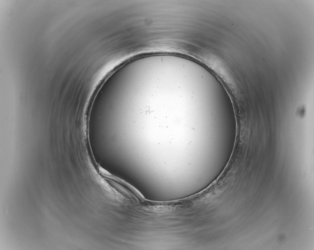 X0000093571380200710291031