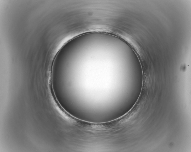 X0000093571383200710291031