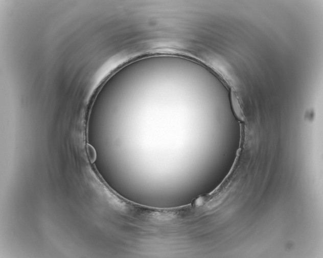 X0000093571384200710291031