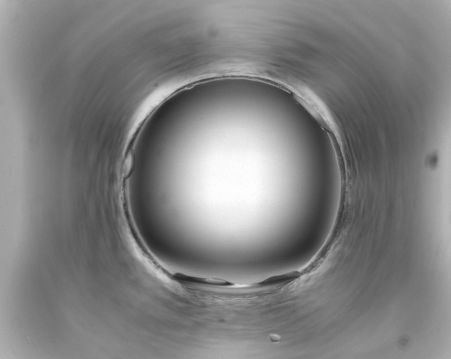 X0000093571389200710291031