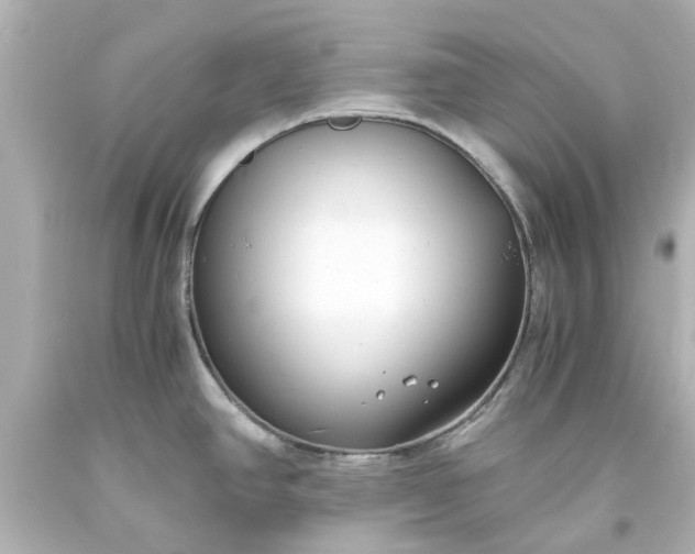 X0000093571390200710291031