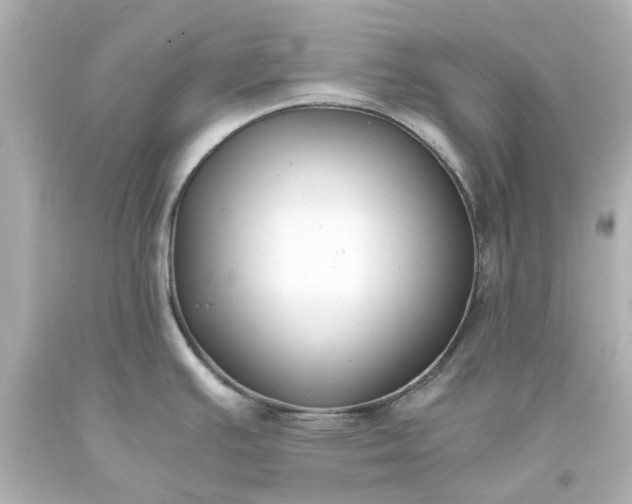 X0000093571391200710291031