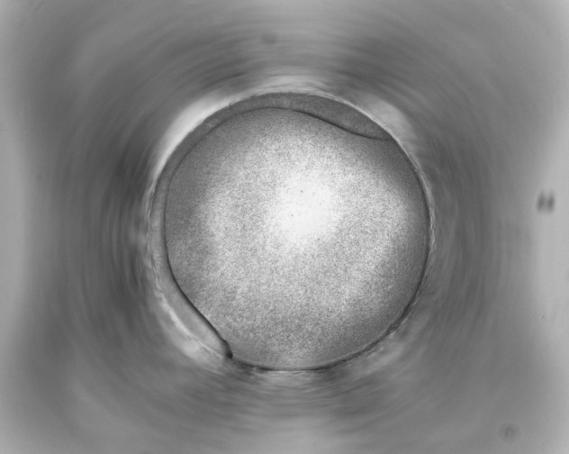 X0000093571392200710291031