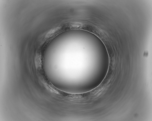 X0000093571394200710291030