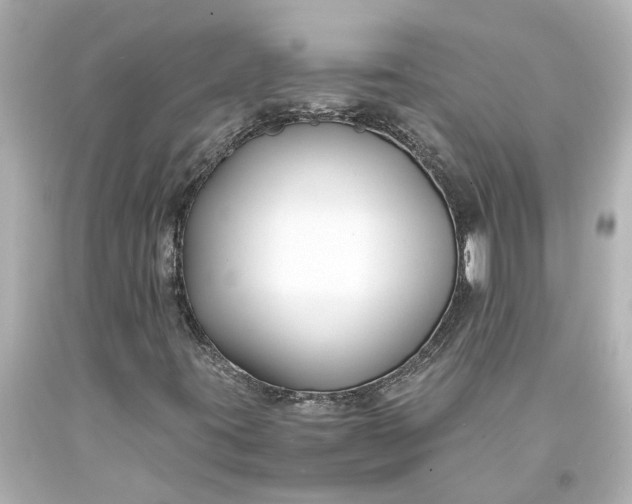 X0000093571395200710291030