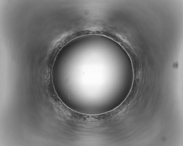 X0000093571398200710291030