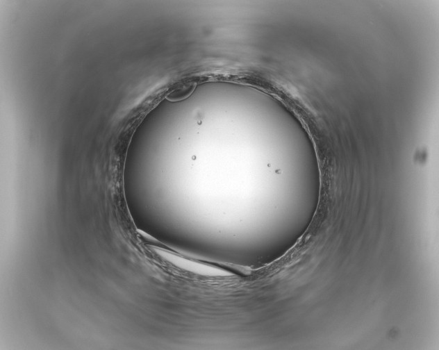X0000093571399200710291030