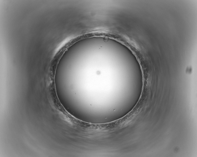 X0000093571400200710291030