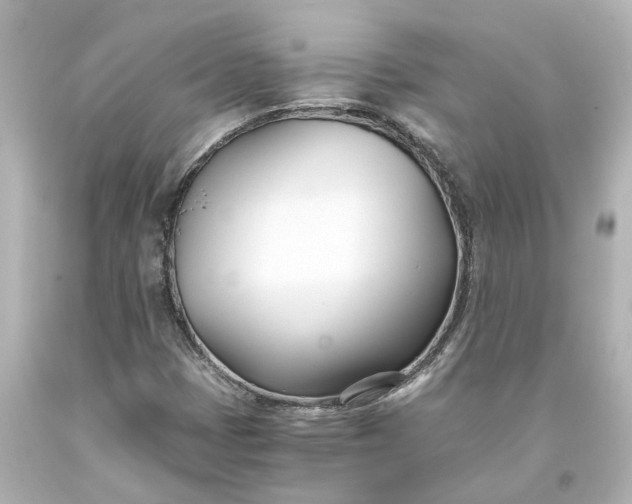 X0000093571401200710291030