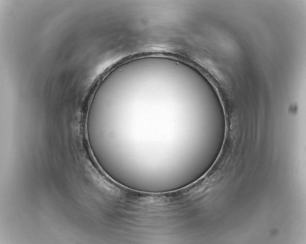 X0000093571404200710291030