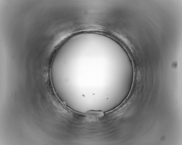 X0000093571407200710291030