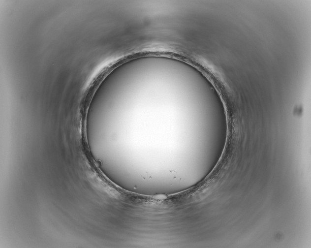 X0000093571408200710291030