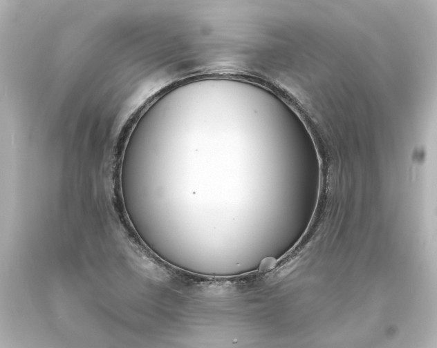 X0000093571410200710291030
