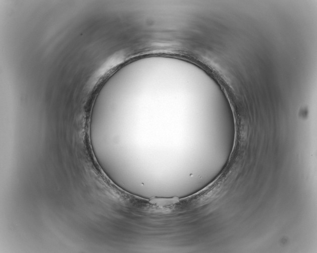 X0000093571411200710291030