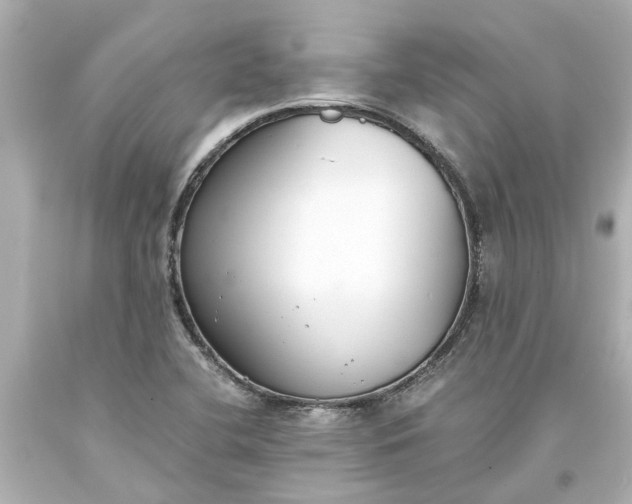 X0000093571412200710291030
