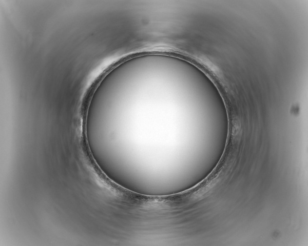 X0000093571414200710291030