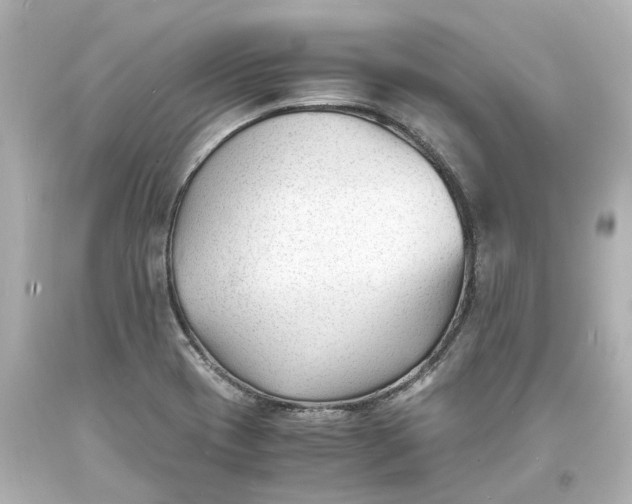 X0000093571417200710291030