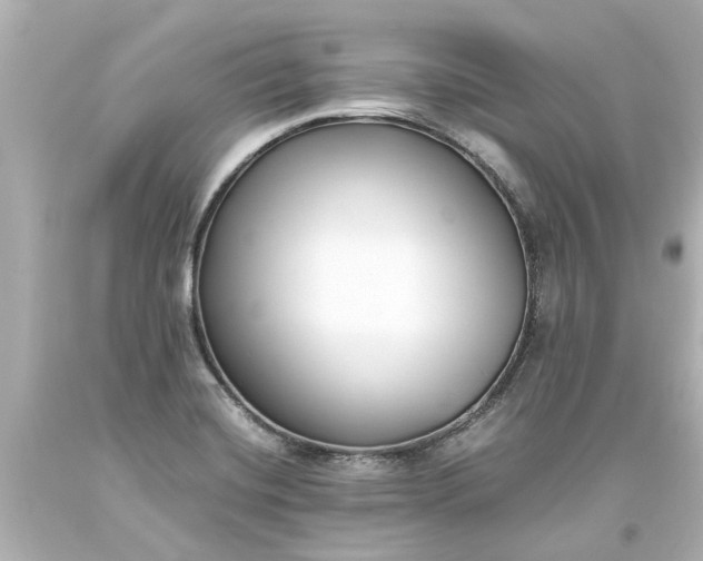 X0000093571420200710291030