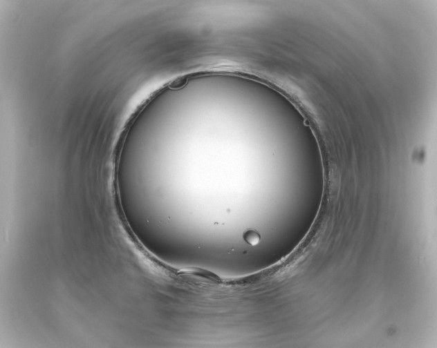 X0000093571424200710291031